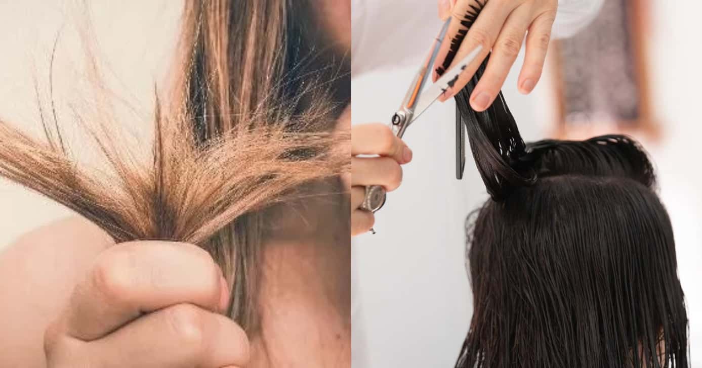 Com esse ingrediente, você vai se livrar do cabelo ressecado (Foto: Divulgação)