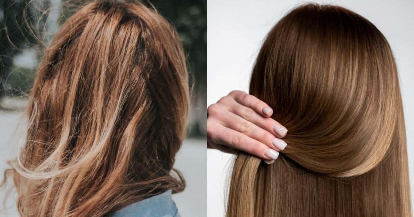 1 único ingrediente natural que salva até o cabelo mais danificado - Foto: Montagem
