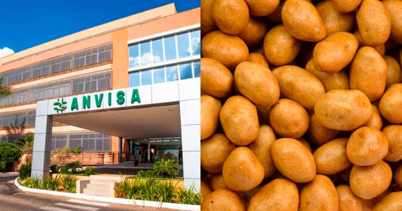 Anvisa - Amendoim (Foto: Reprodução)