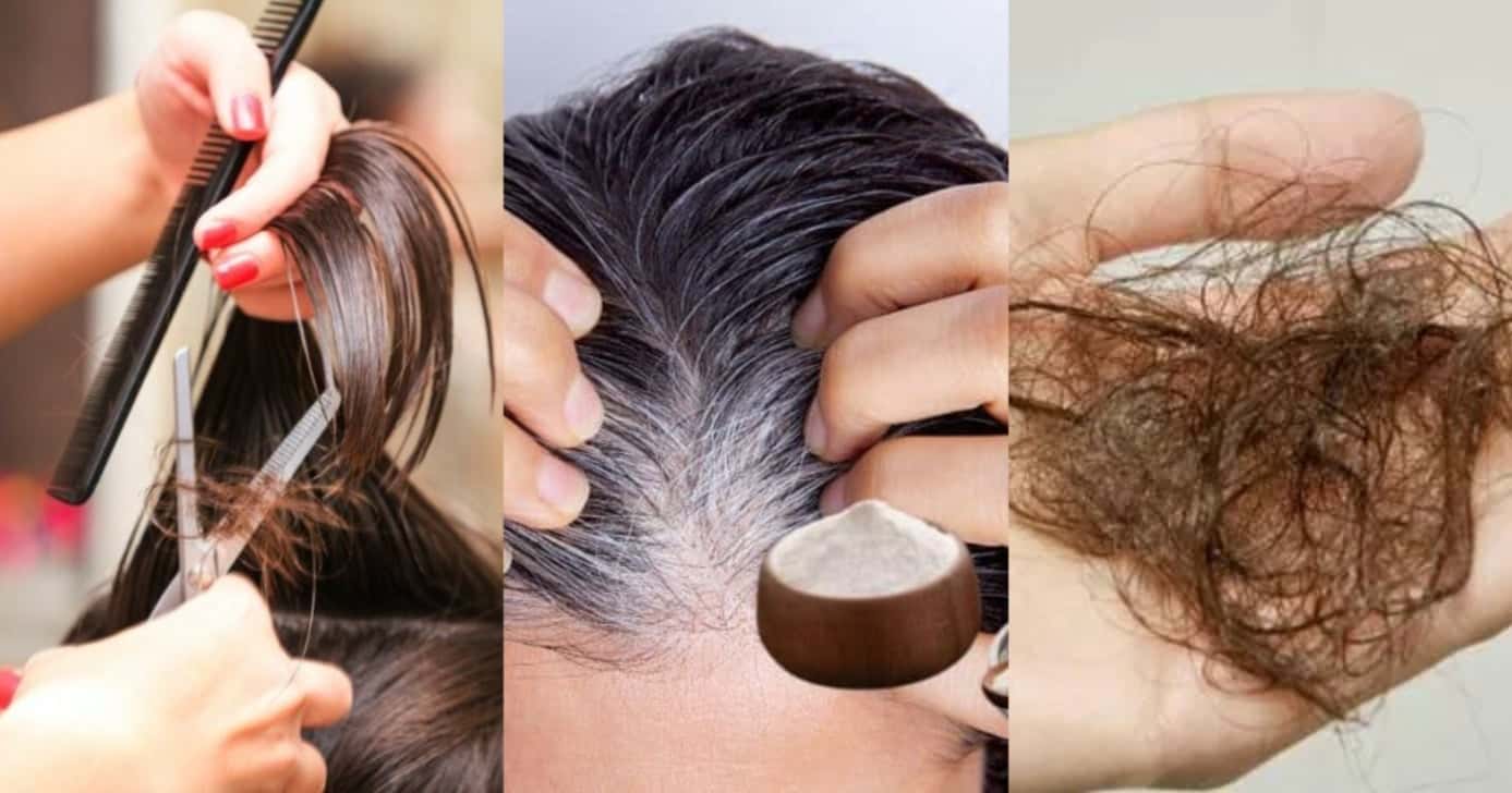 5 cortes de cabelo rejuvenescem 20 anos +2 passos acabam de vez com o grisalho e queda - Foto: Montagem