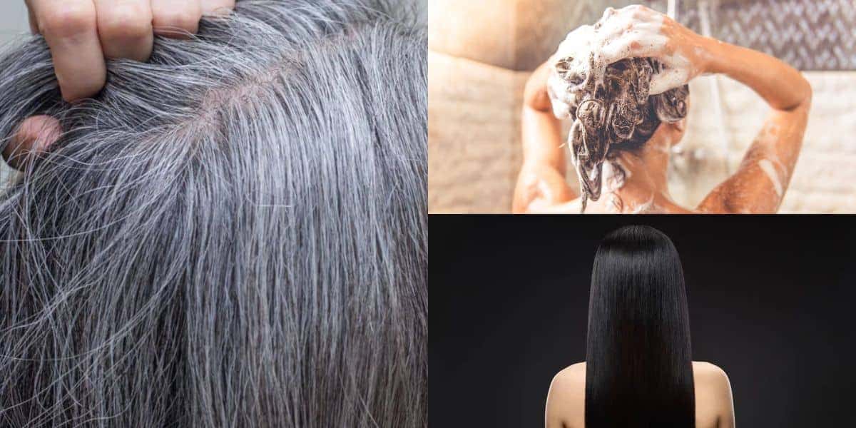 Fim do cabelo grisalho com shampoo (Reprodução: Montagem TV Foco)