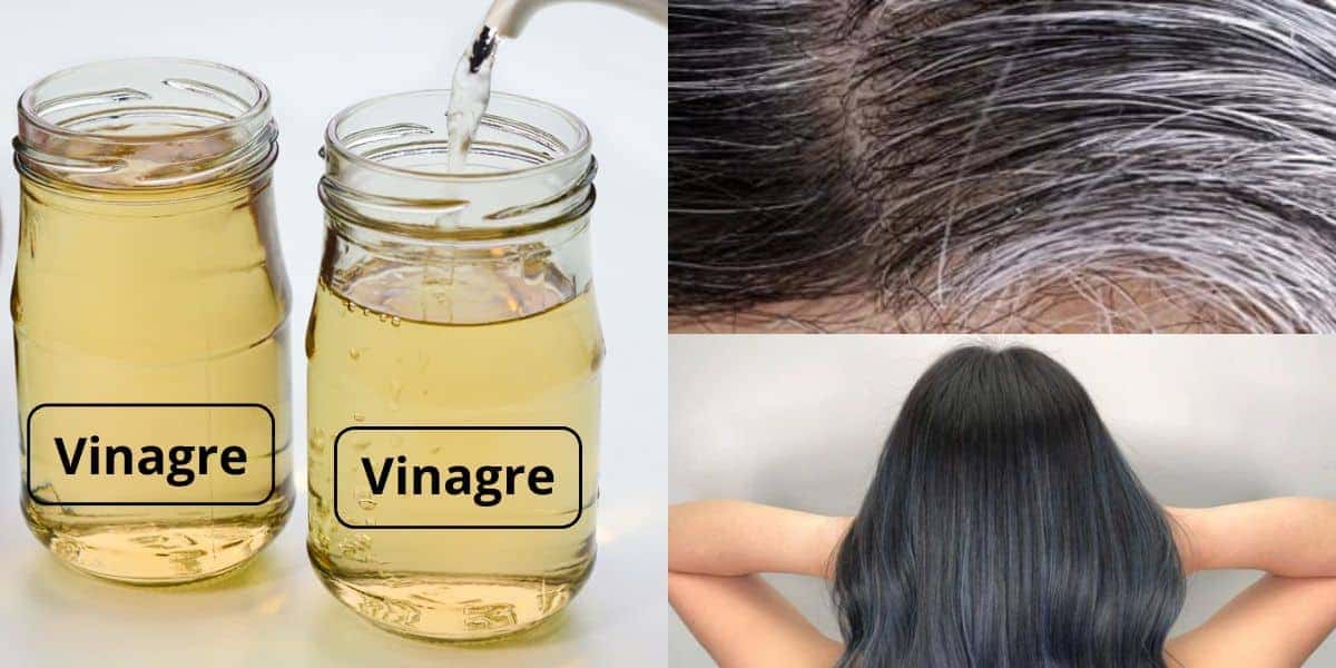Tinta caseira com vinagre para acabar com o cabelo branco (Reprodução: Montagem TV Foco)