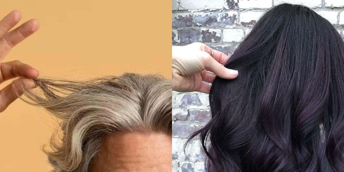 Fim do cabelo branco com receita de três ingredientes (Reprodução: Montagem TV Foco)