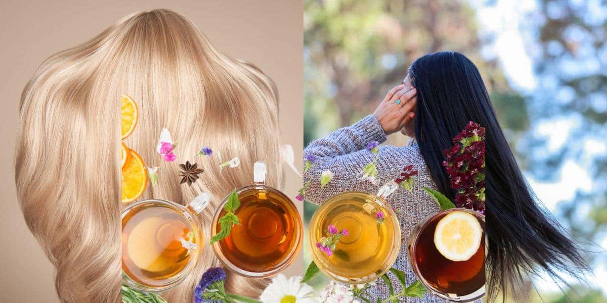 4 chás para tonalizar o cabelo das mulheres (Reprodução: Montagem TV Foco)
