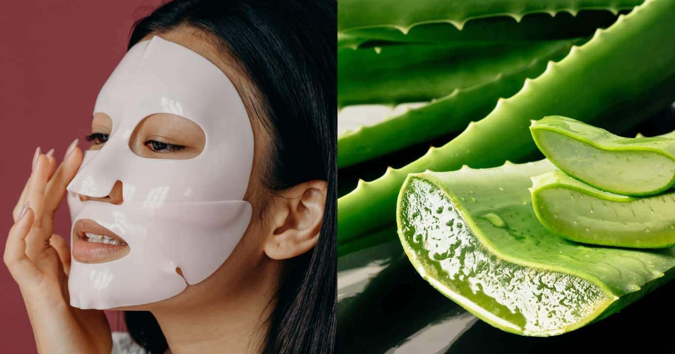 Produção de colágeno natural com aloe vera (Foto: Divulgação)