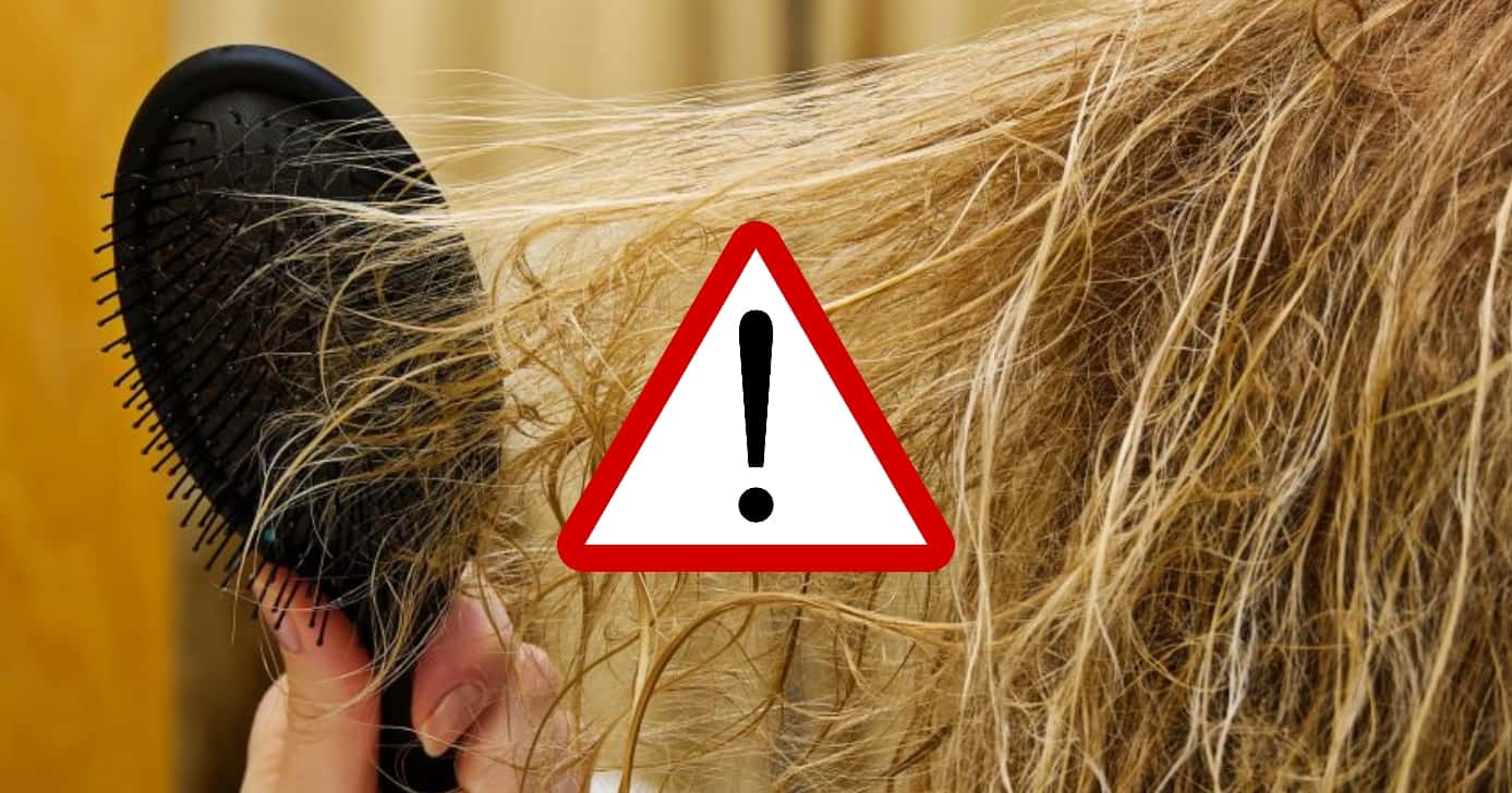 O fim do cabelo destruído com essa receita prática (Foto: Divulgação)