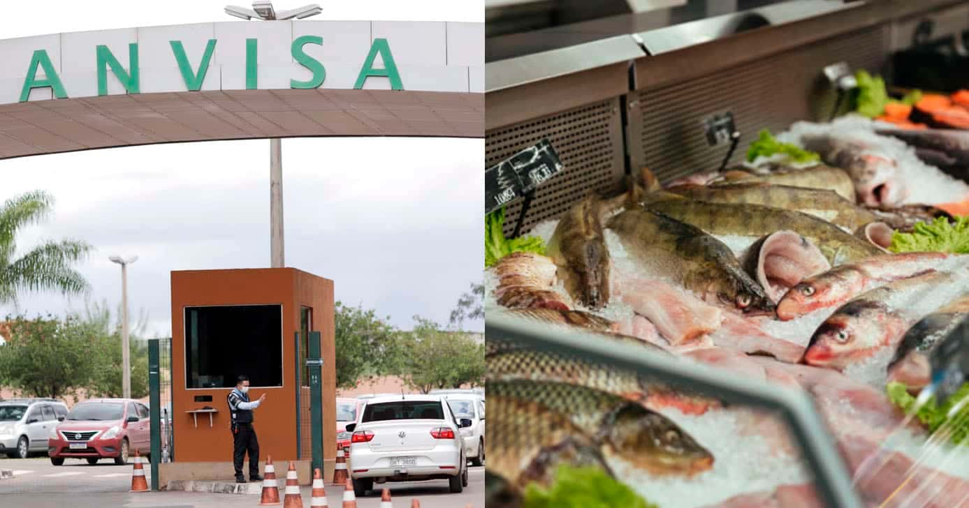 Anvisa - Peixaria (Foto: Reprodução)