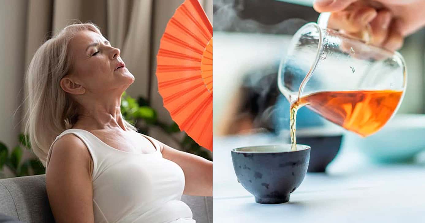 Chá - Menopausa (Foto: Reprodução)