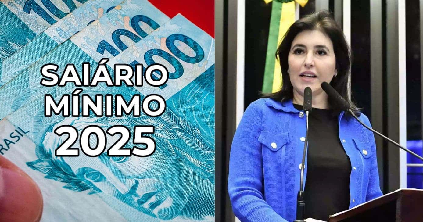 Salário mínimo / Simone Tebet - Montagem: TVFOCO