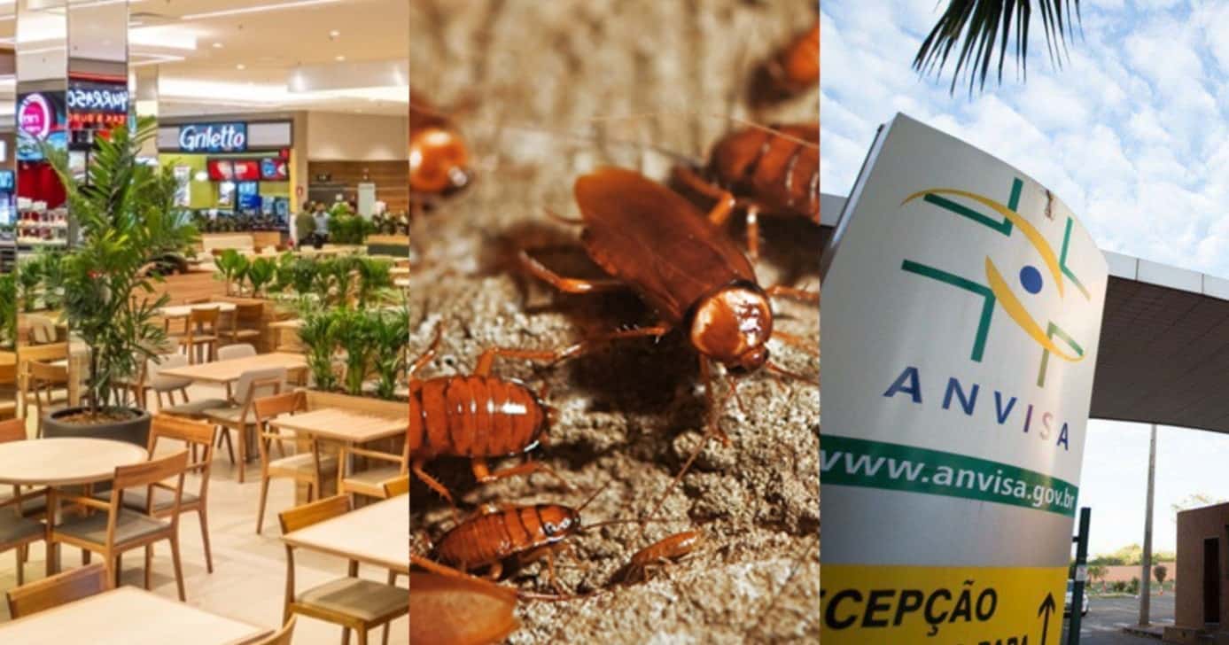 ANVISA interdita praça de alimentação de shopping nº1 de Brasília, DF, por nojeira - Foto: Montagem