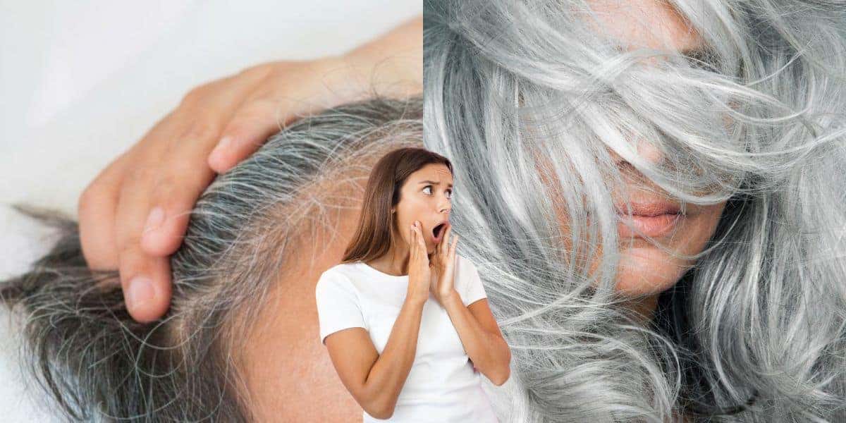 Cabelo hidratado mesmo com química com 2 ingredientes (Reprodução: Montagem TV Foco)