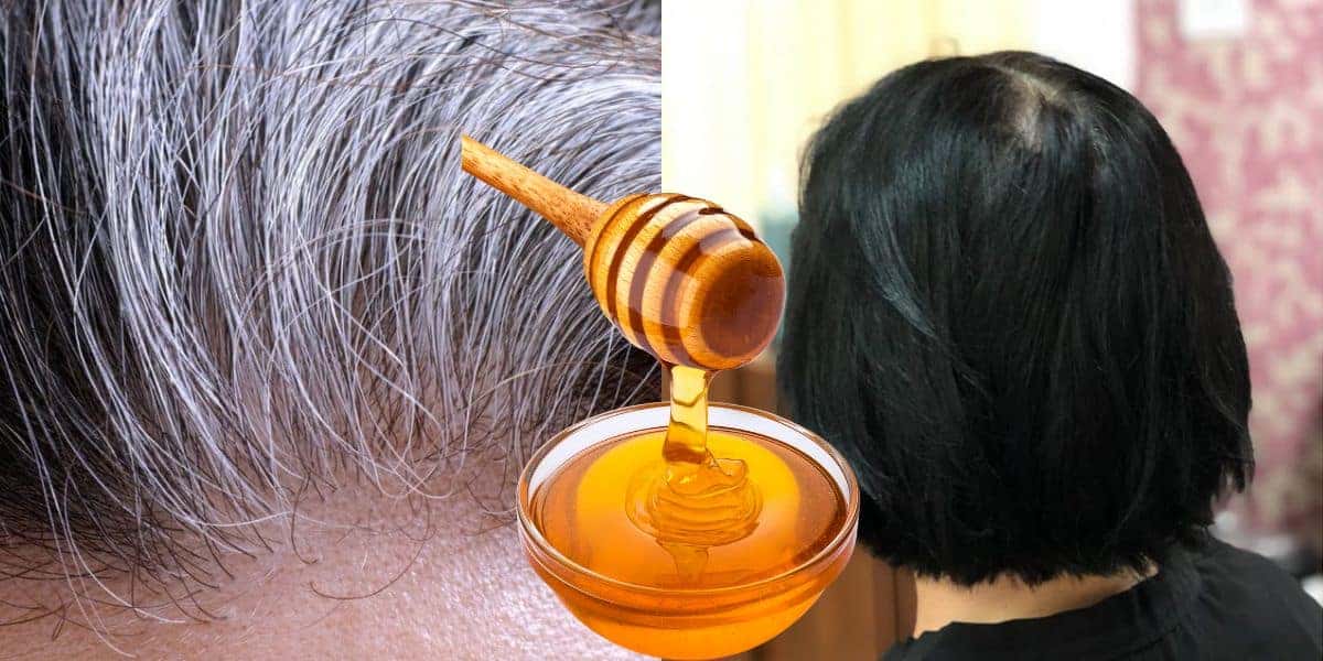 Fim do grisalho com receita natural de mel (Reprodução: Montagem TV Foco)