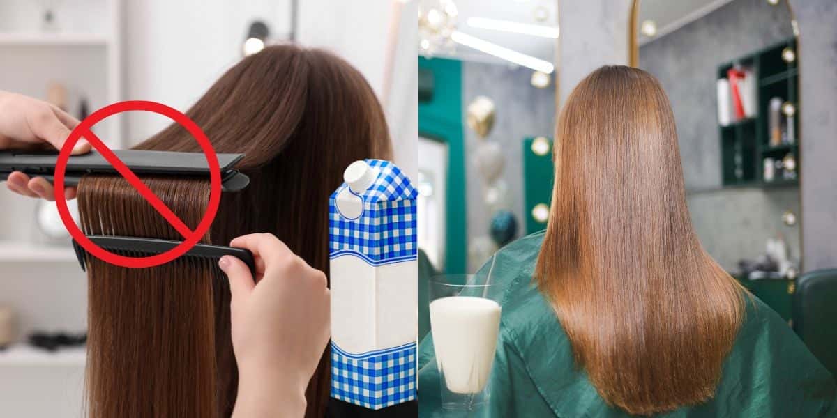 Alisar cabelo com leite e sem chapinha (Reprodução: Montagem TV Foco)