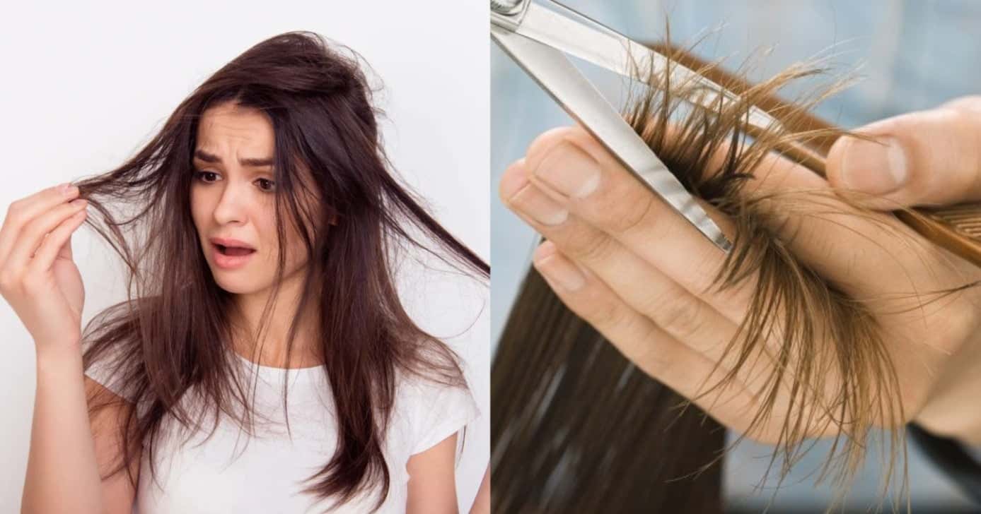 8 cortes de cabelo aumentam volume dos fios e acabam com pontas ralas - (Montagem / TV FOCO)