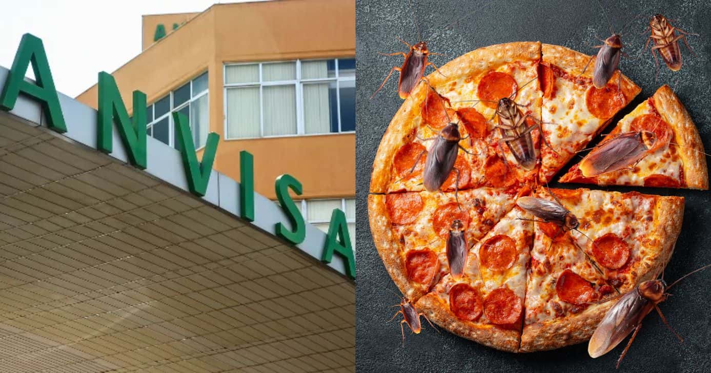 Anvisa, ilustração de pizza e baratas (Fotos: Reproduções / Marcelo Camargo / Canva)
