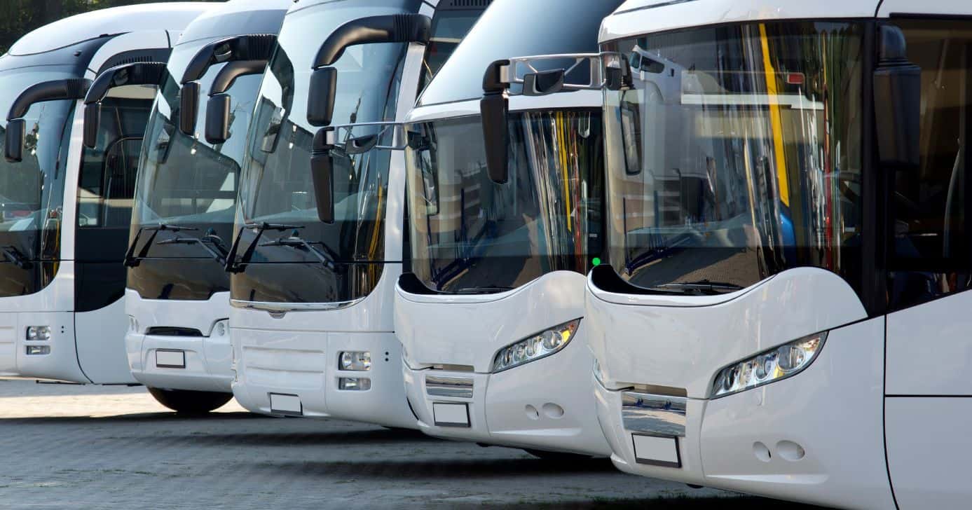 Ilustração ônibus (Foto: Canva)