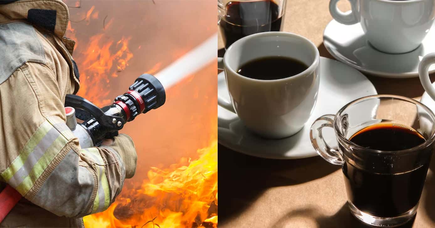 O fim de indústria popular de cafés em Fortaleza, após incêndio (Foto: Divulgação)