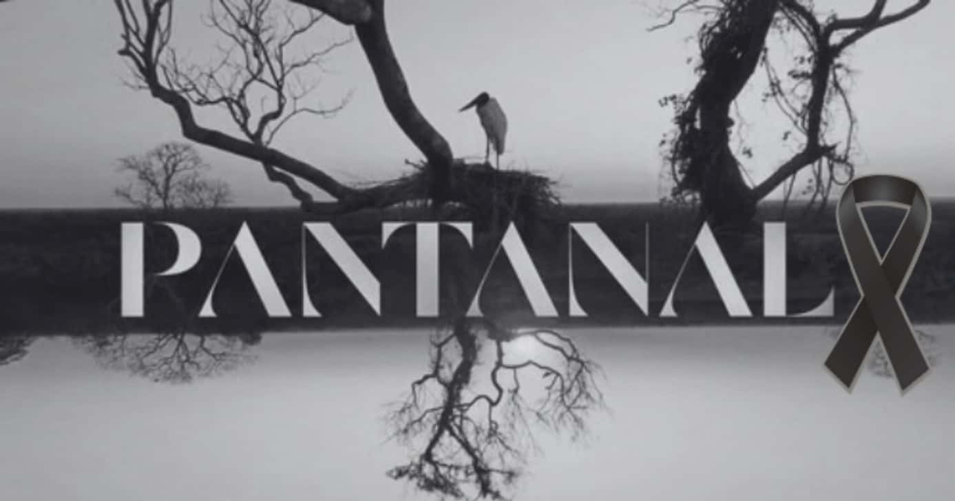 Astro de Pantanal morreu com mágoa da Globo após amputação (Foto: Reprodução/Montagem TV Foco)