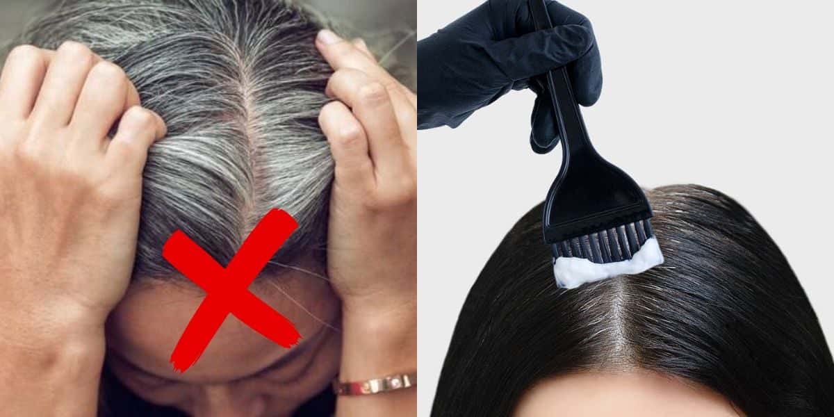 Fim do cabelo branco com tinta natural de 4 ingredientes (Reprodução: Montagem TV Foco)