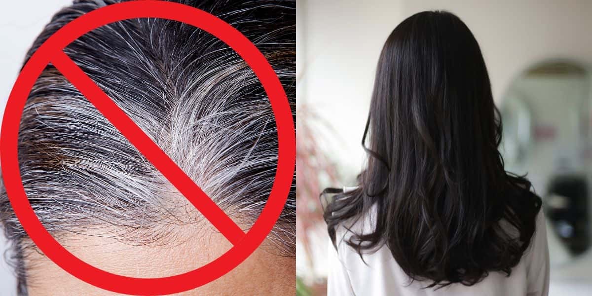 Fim do cabelo grisalho (Reprodução: Montagem TV Foco)