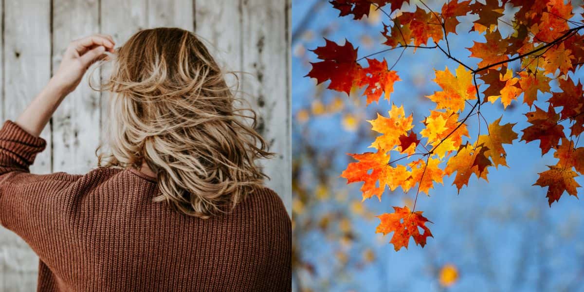 Veja lista de cortes de cabelo (Foto: Divulgação)