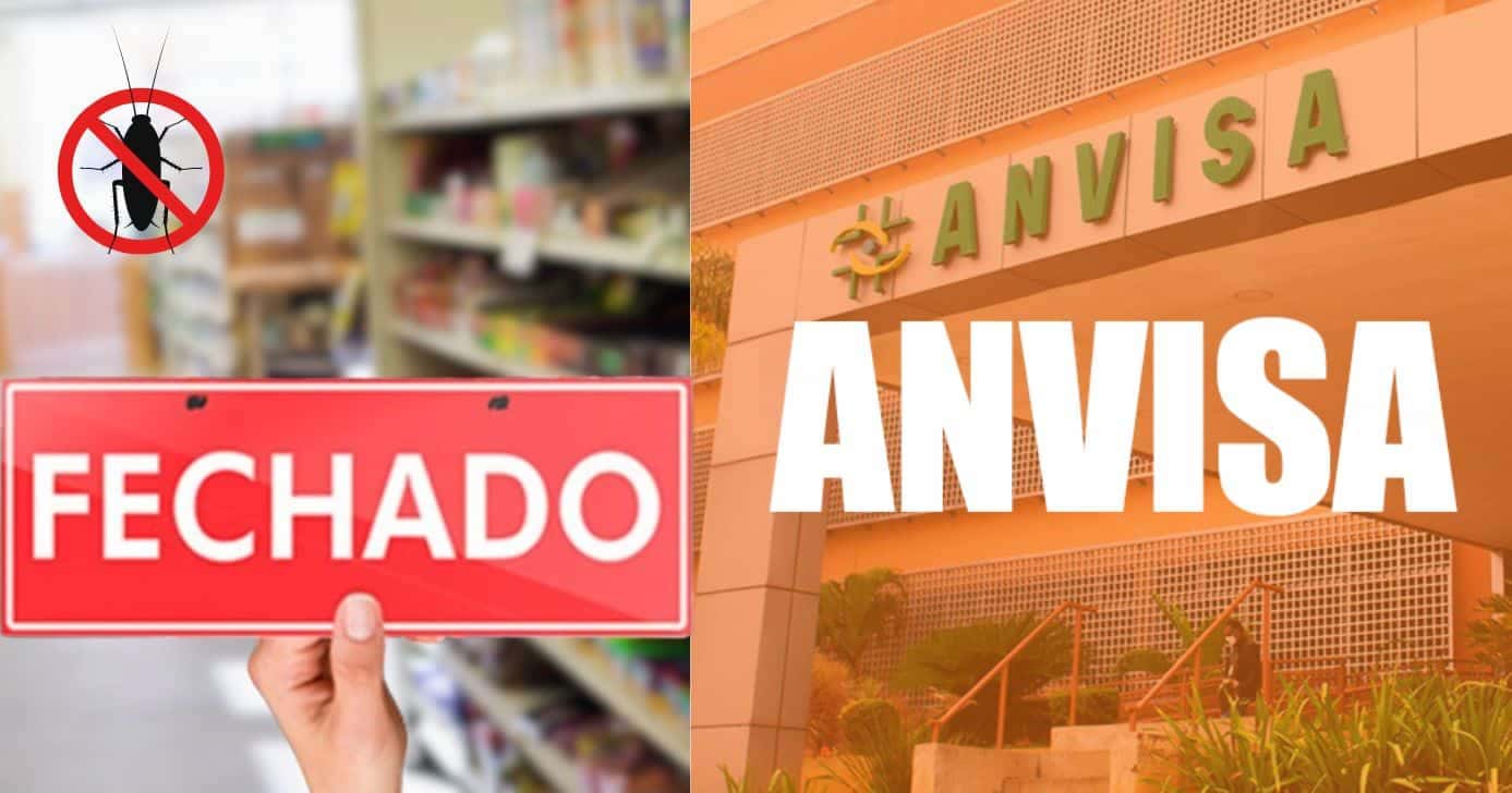 Anvisa e mercado fechado (Foto: Reprodução / Canva / Montagem TV Foco)
