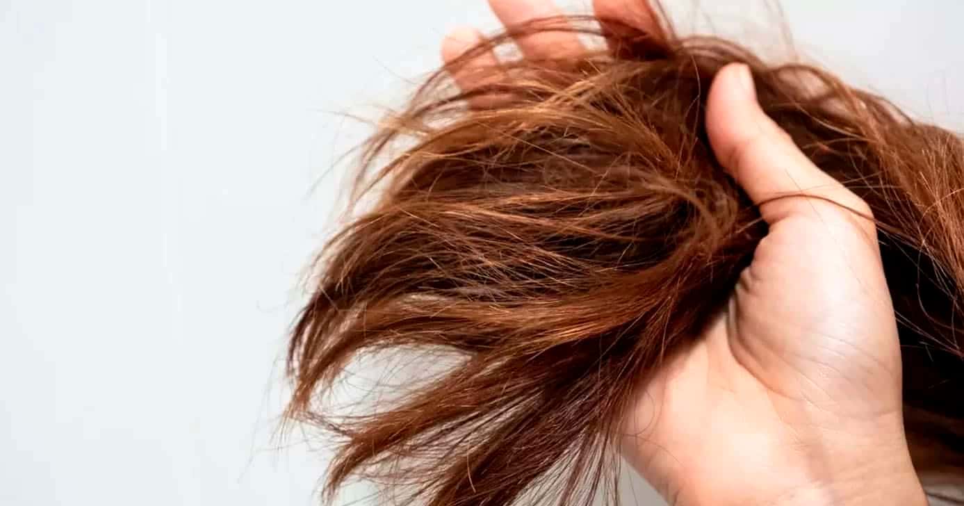 Cabelo seco e poroso (Foto: Reprodução)