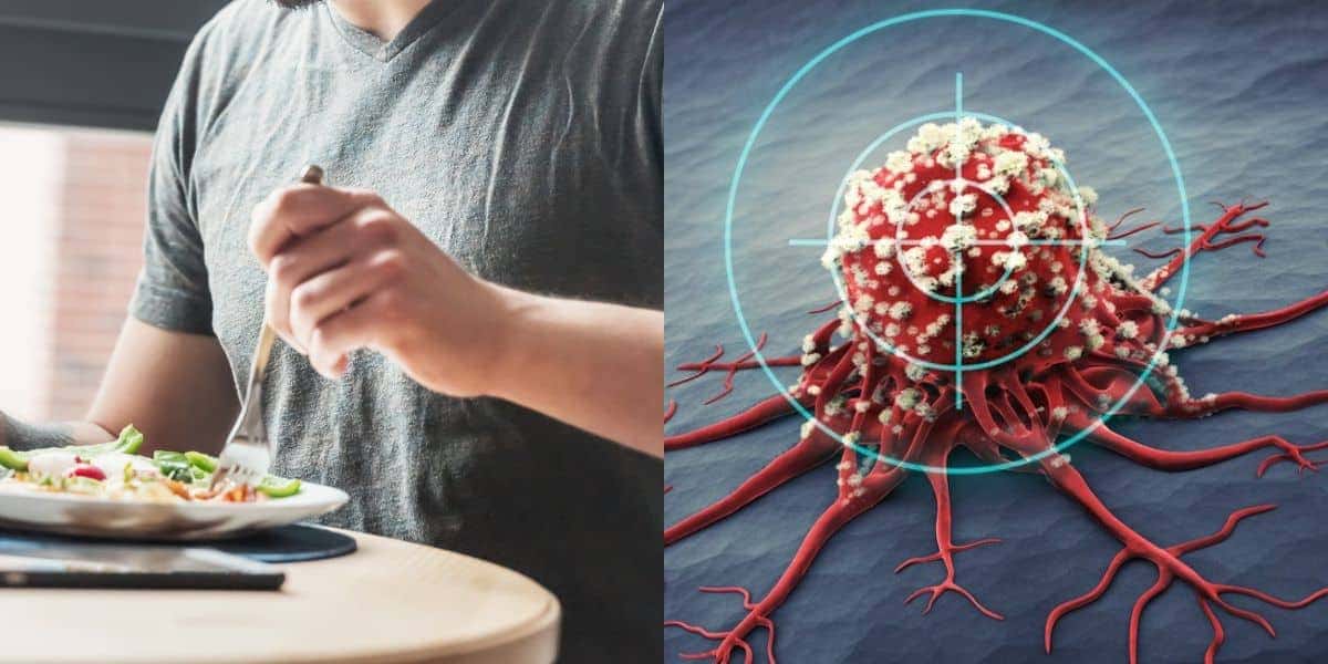 13 alimentos que evitam células cancerígenas (Reprodução: TV Foco)