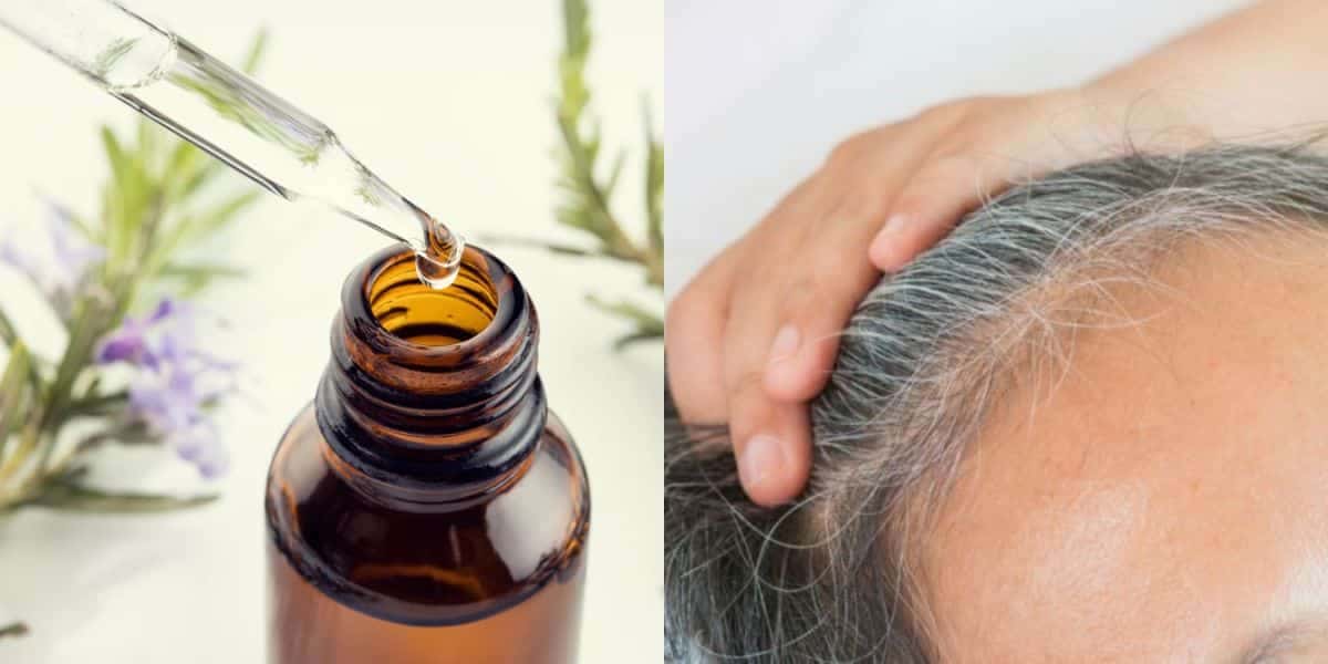 Fim do cabelo branco com 5 óleos naturais (Reprodução: Montagem TV Foco)