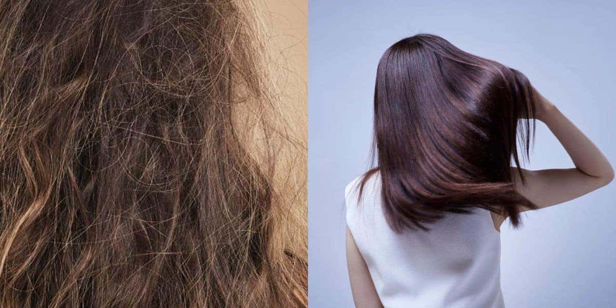 2 produtos para dar adeus ao frizz no cabelo (Reprodução: Montagem TV Foco)