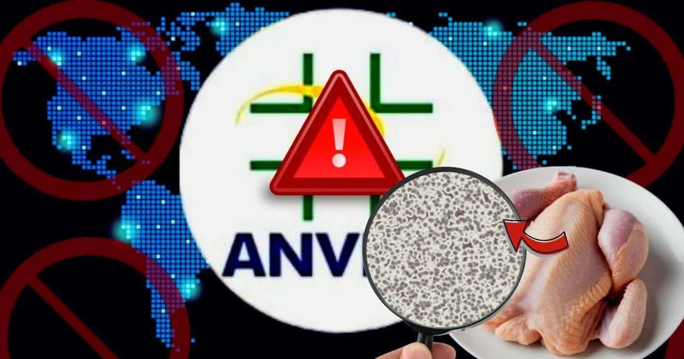 Frango contaminado em país liga o alerta da ANVISA em país (Foto Reprodução/Montagem/TV Foco/Lennita/Canva)