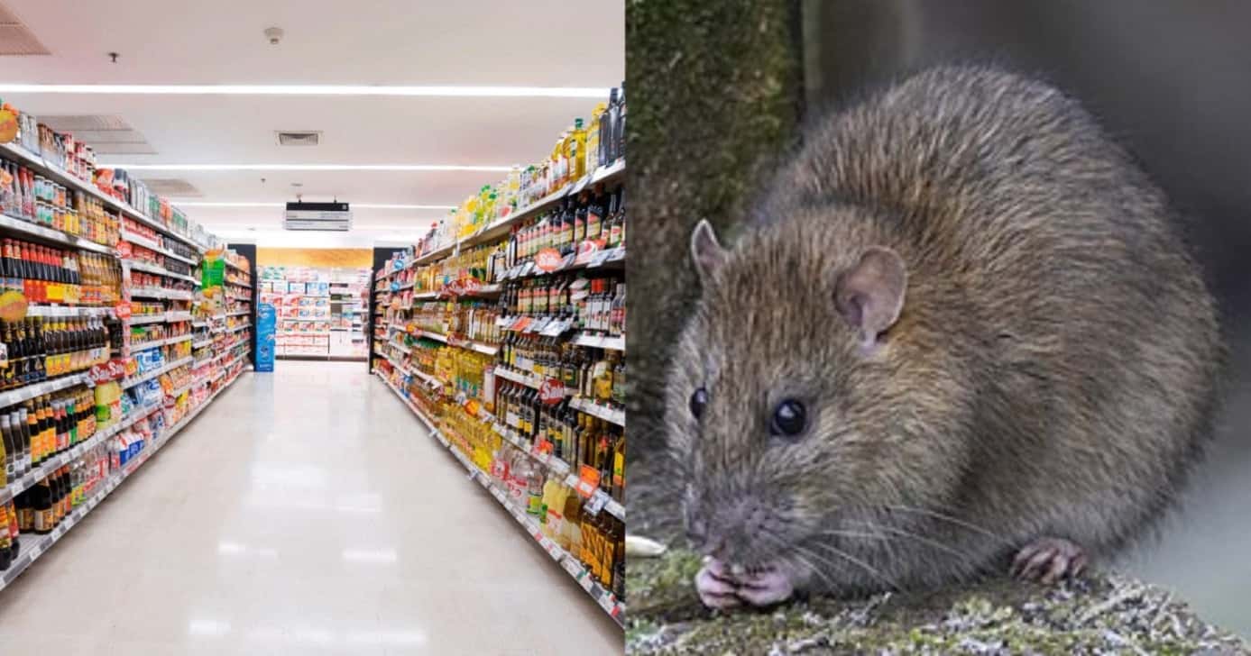 Globo comunica denúncia em supermercado popular de SP - Foto: Montagem