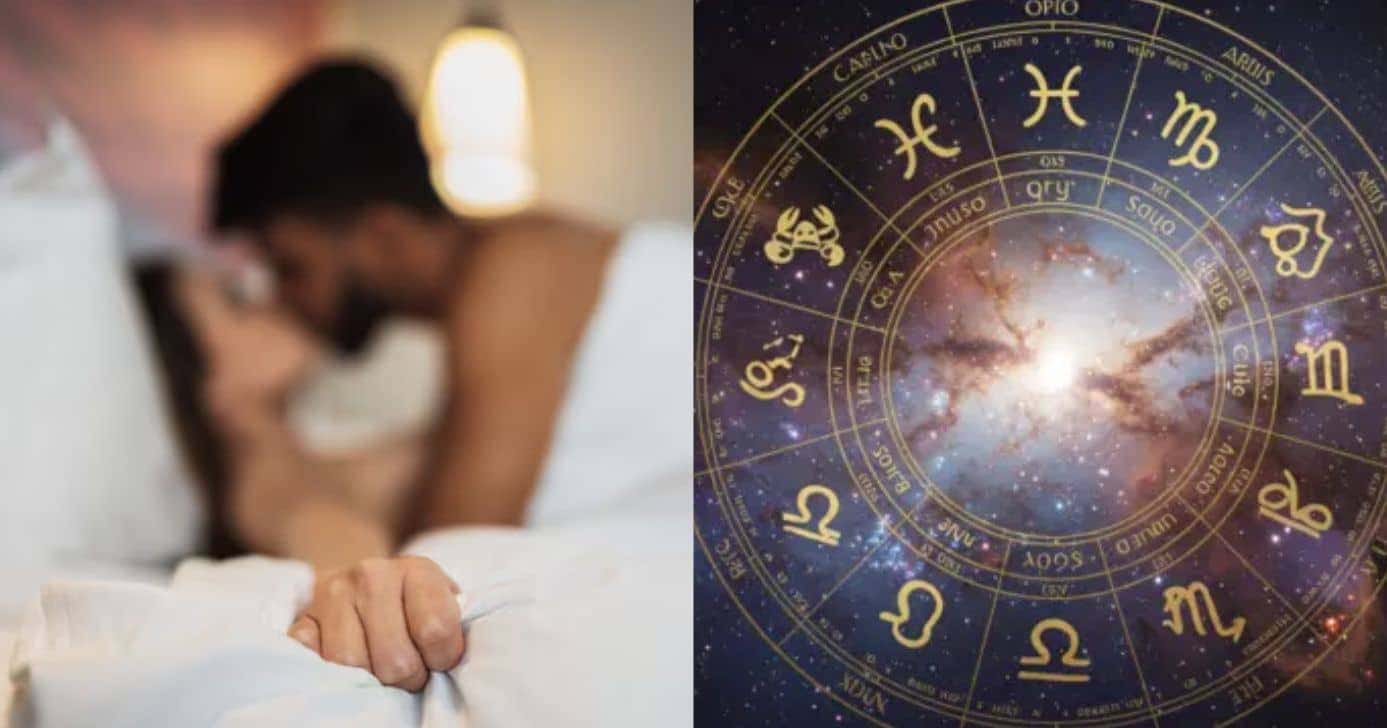 Signos - Montagem: TVFOCO