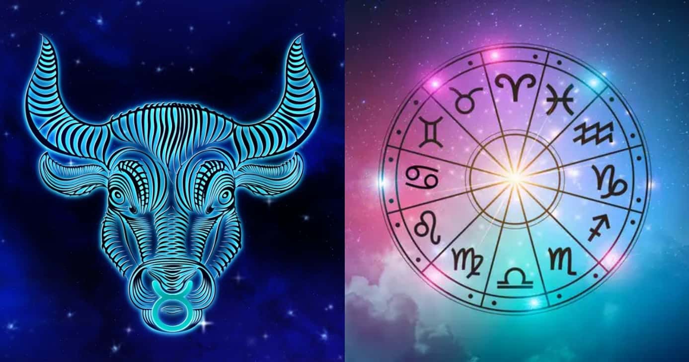 Touro e outros signos com boa notícia (Foto: Divulgação)