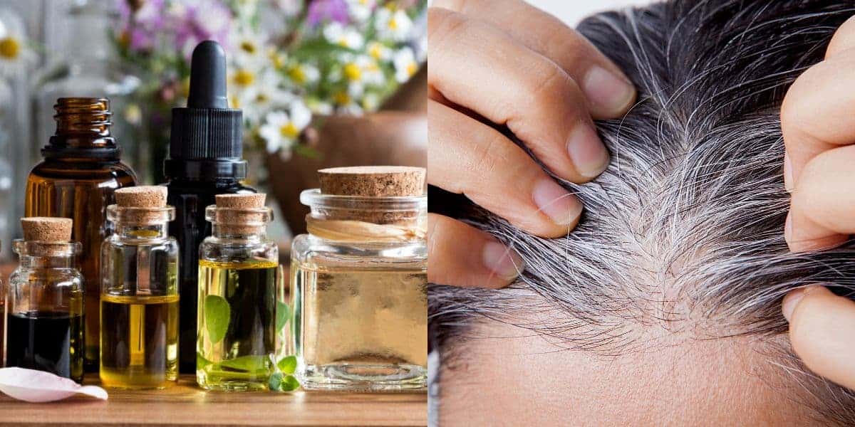 Melhores óleos naturais para acabar com o cabelo branco (Reprodução: Montagem TV Foco)
