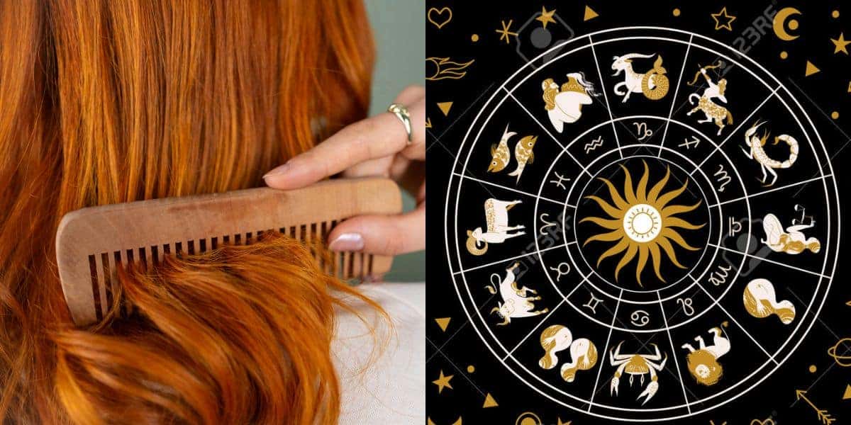 Penteado de cabelo para cada signo (Reprodução: Montagem TV Foco)
