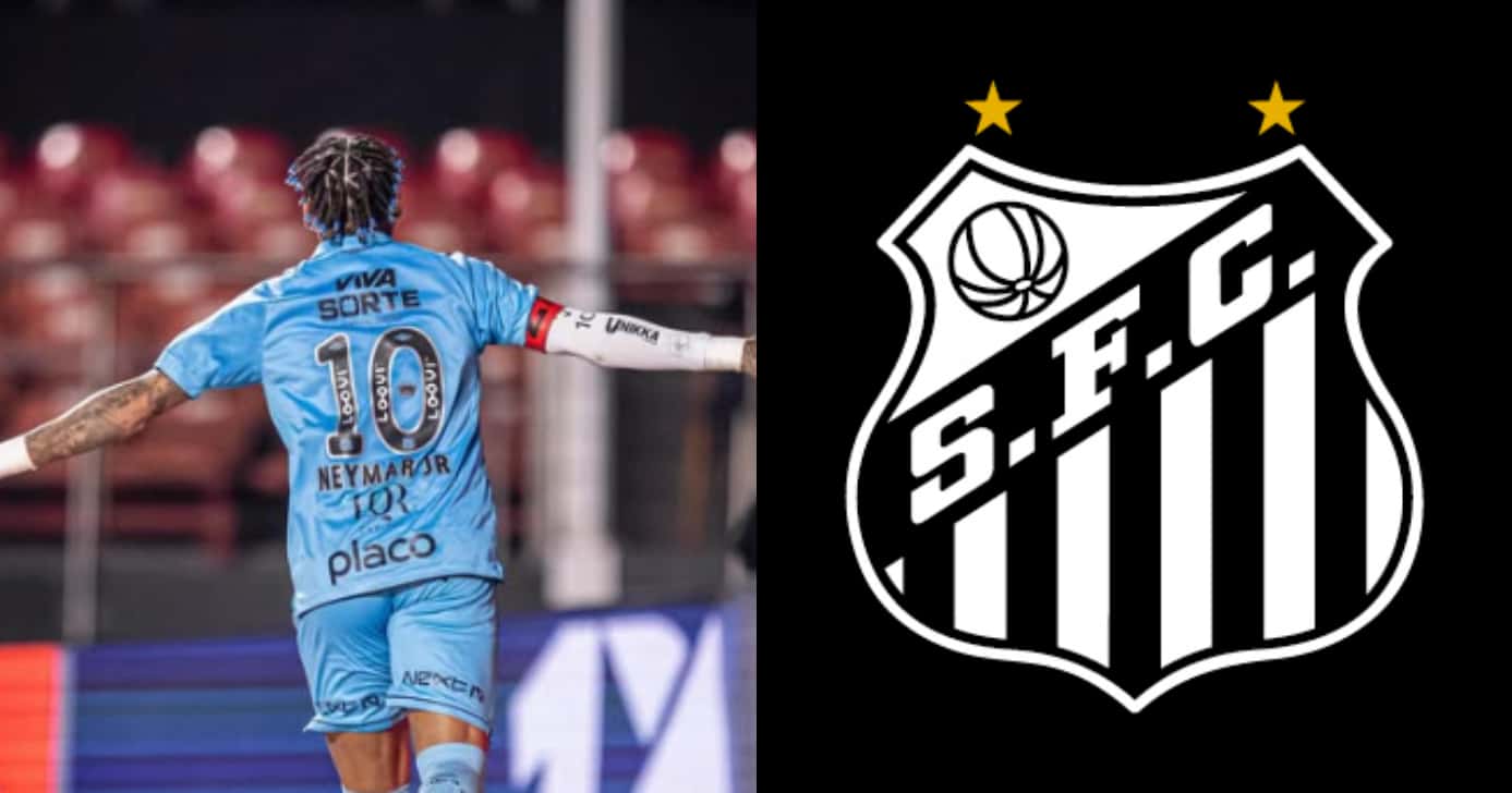 Santos confirma busca por dupla de Neymar (Foto: Divulgação)