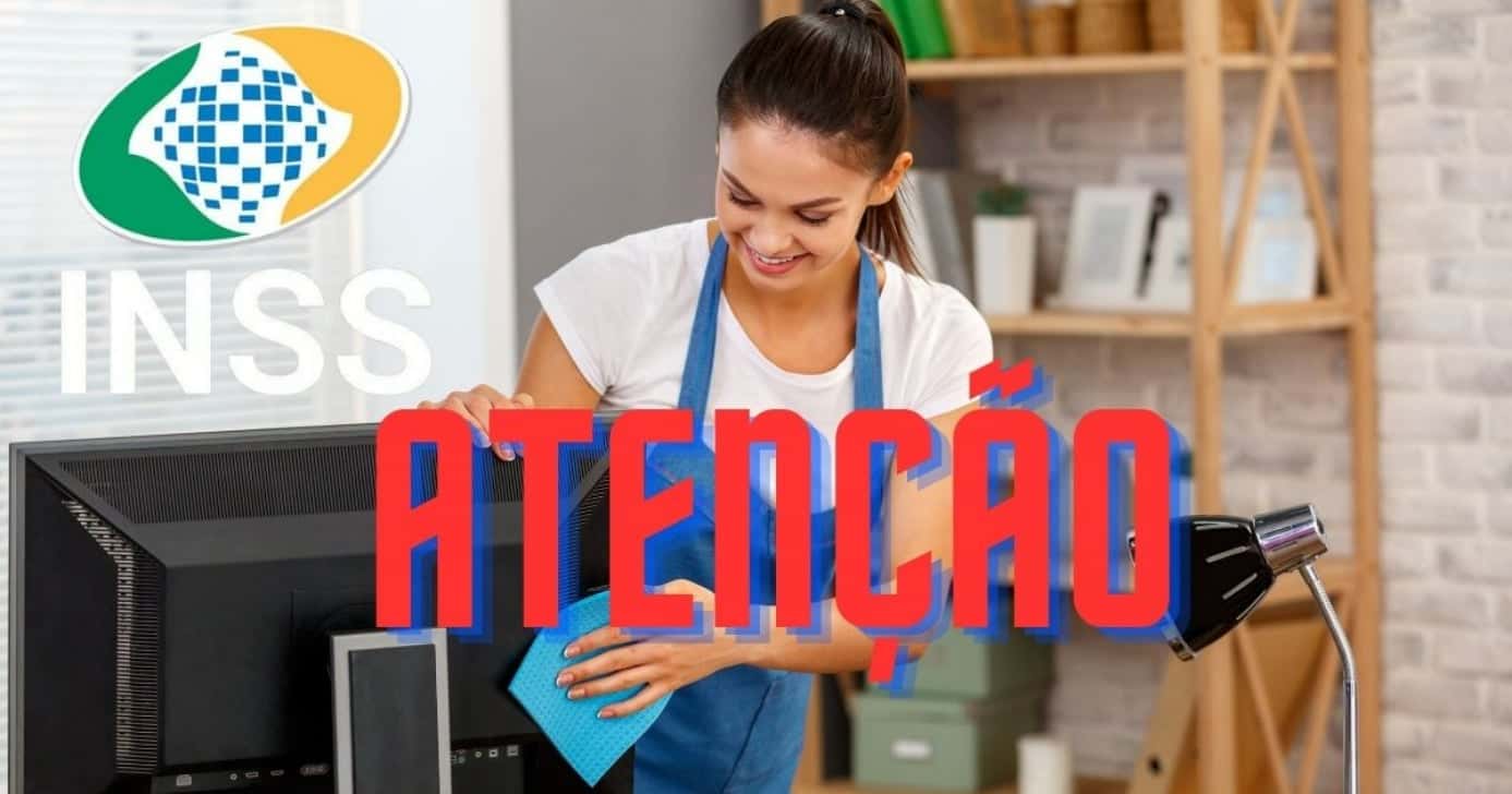 Donas de casa (Foto: Canva/Montagem)
