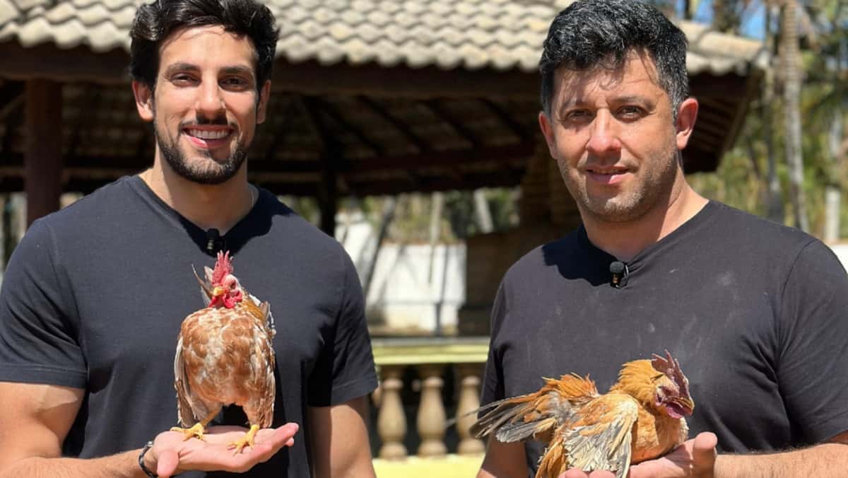 Hoje em Dia exibe Julinho Casares com menor galinha (Crédito das fotos: Divulgação RECORD)