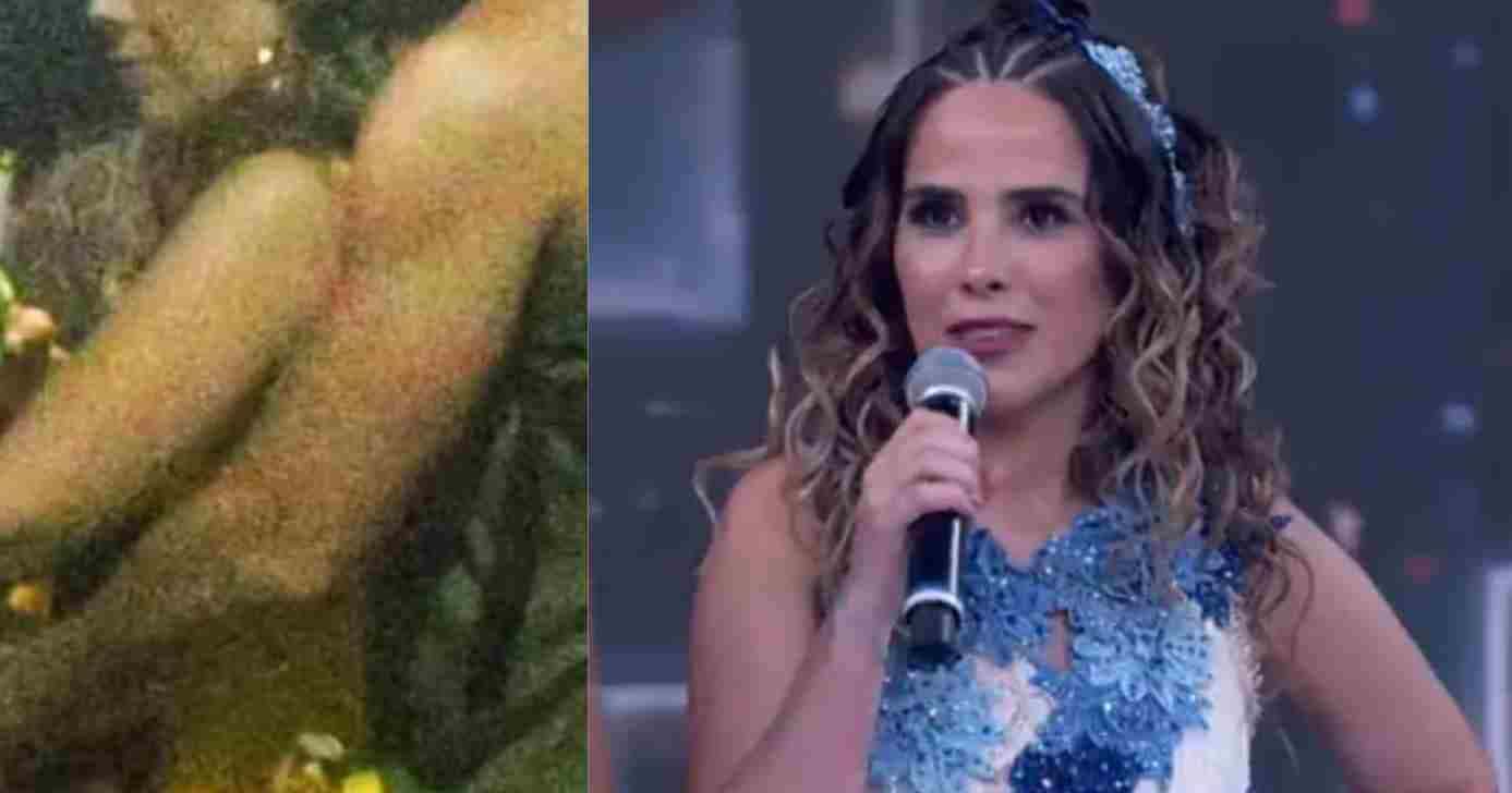 Wanessa Camargo e famoso (Fotos: Reproduções / Thiago Martins | AgNews / Globo)