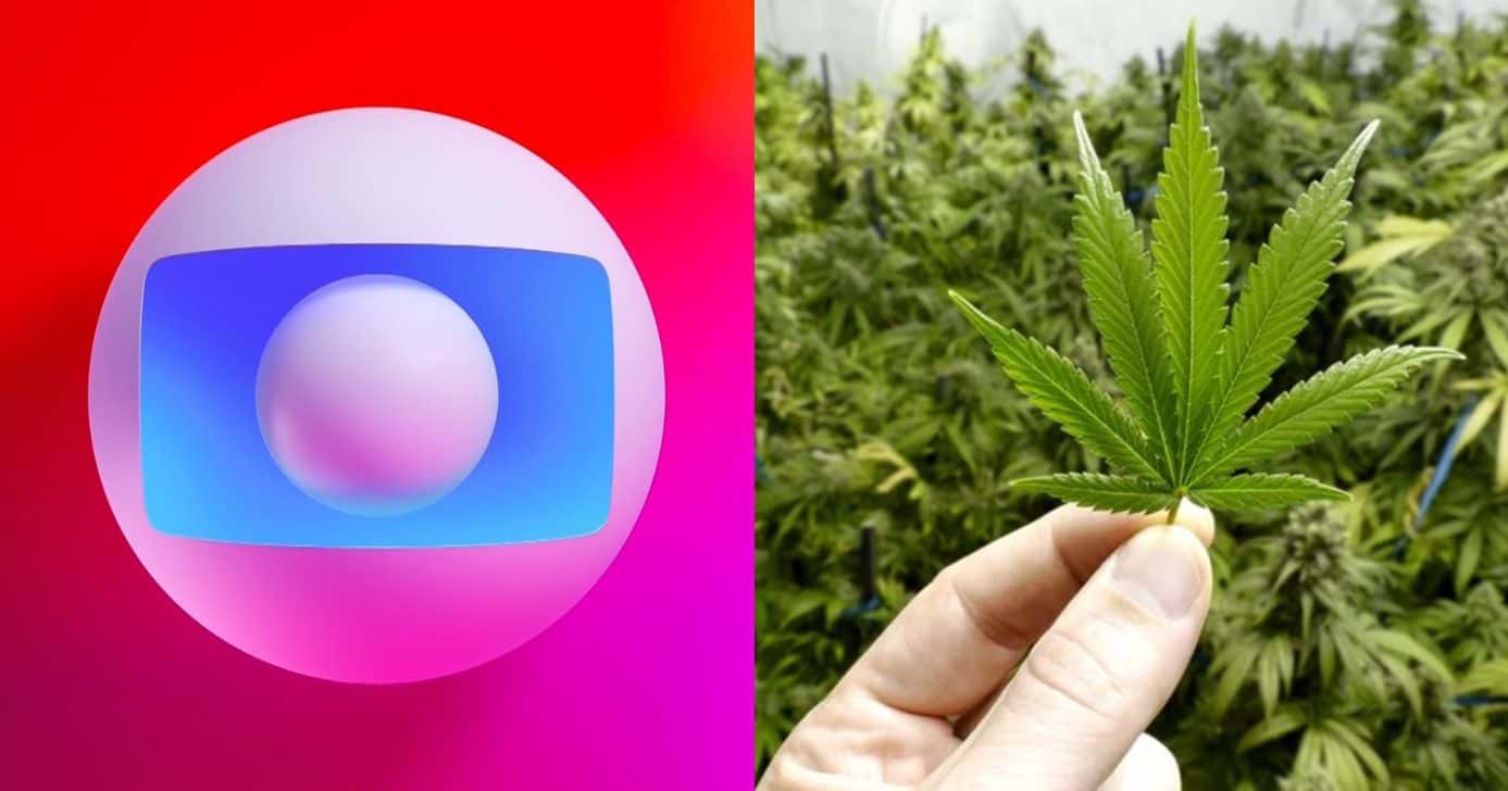 Estrela da Globo mostra plantação de maconha (Foto: Reprodução/ Montagem)
