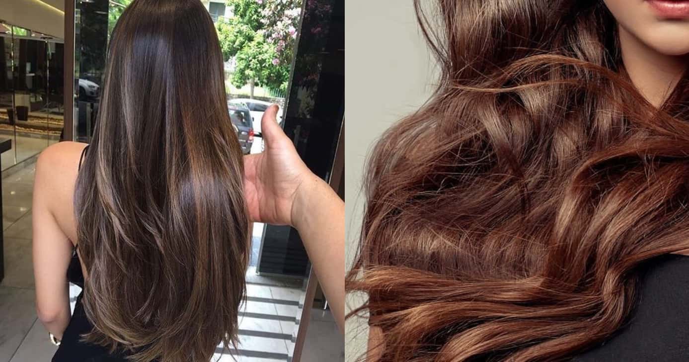 Cabelo bonito e sedoso com essas dicas (Foto: Divulgação)