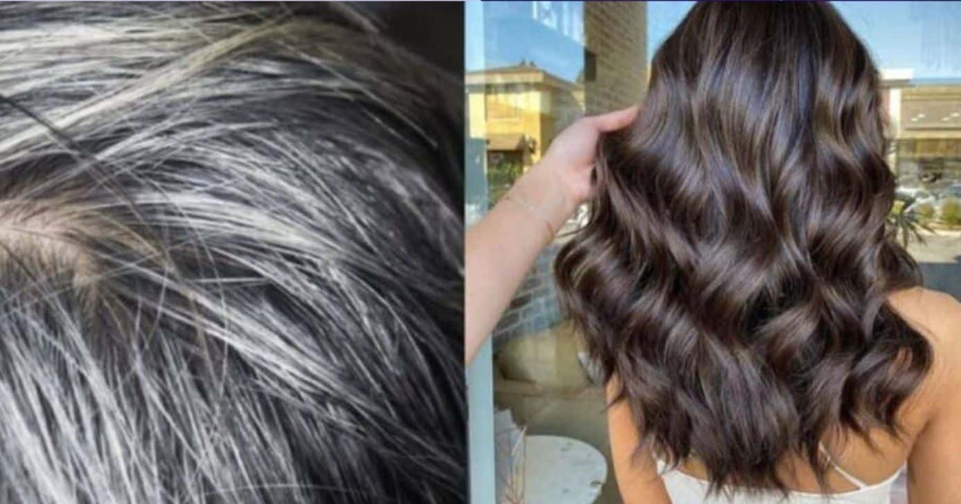 Tintas para acabar o cabelo branco - Montagem/TV FOCO
