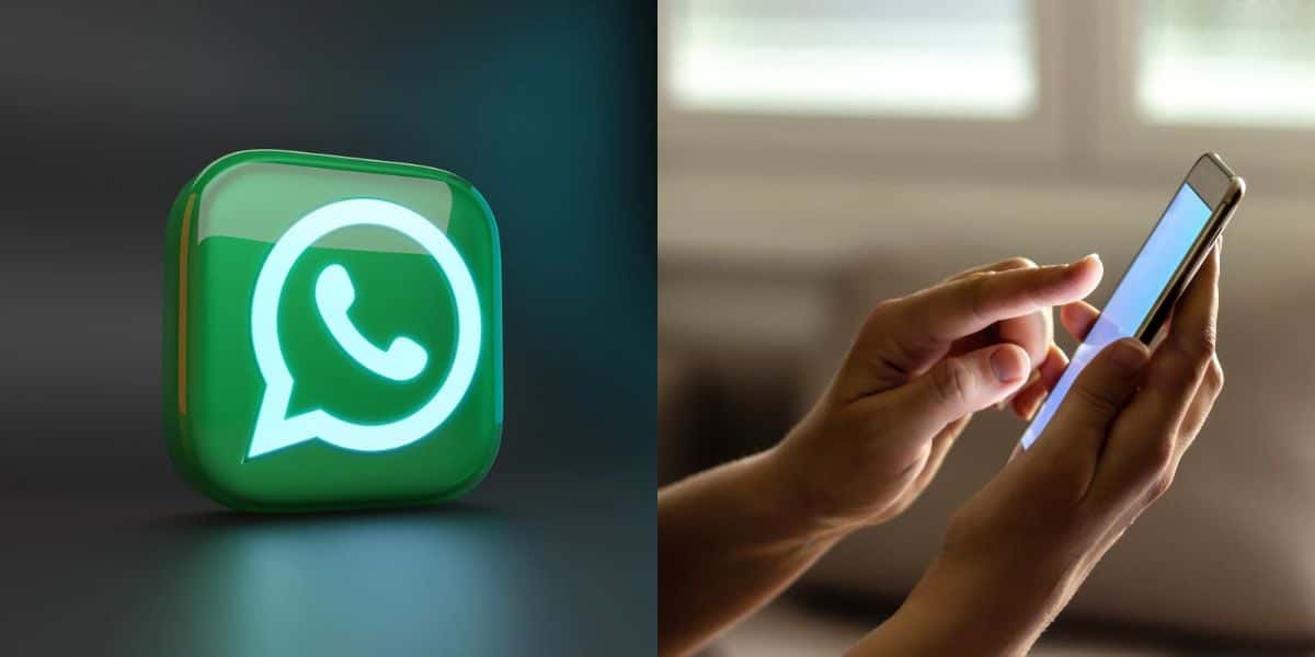 WhatsApp confirma fim em lista de celulares (Reprodução: Montagem TV Foco)