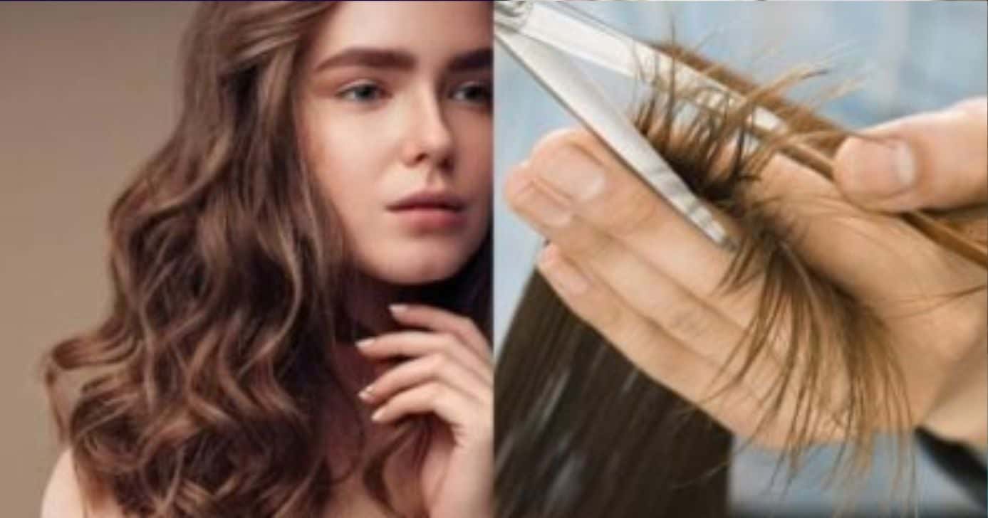 5 cortes de cabelo que afinam o rosto e deixam o visual mais elegante - Montagem/TV FOCO