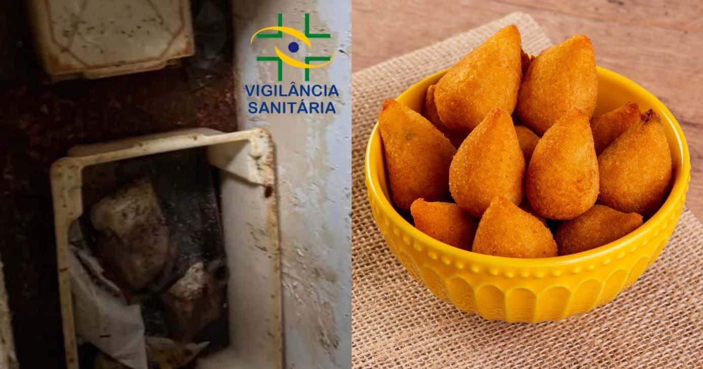 Fábrica, logo Vigilância Sanitária e salgados (Fotos: Policia Civil do Estado de Goiás / Canva)