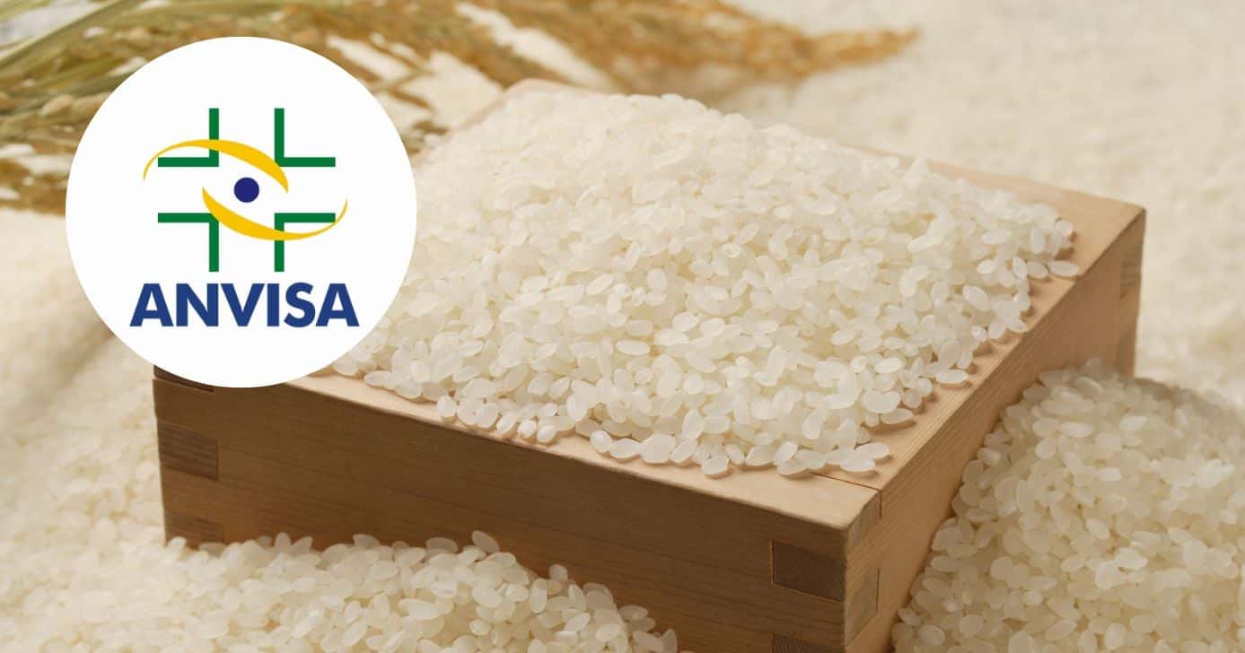 Logo Anvisa e ilustração de arroz (Fotos: Reproduções / Canva / Internet)