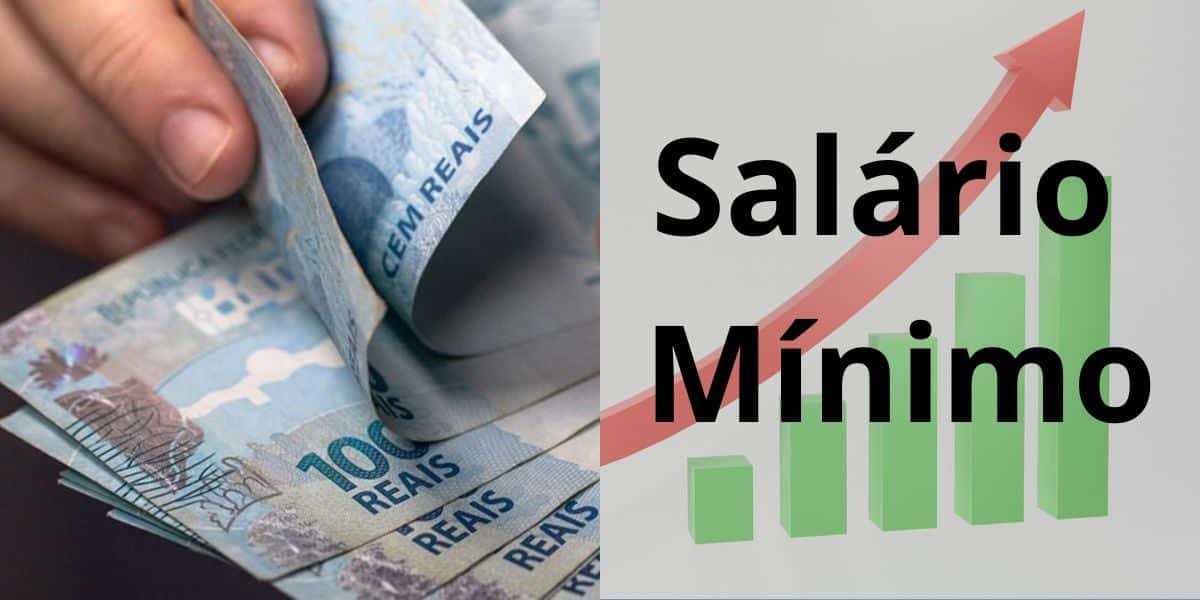 Salário Mínimo (Reprodução: Montagem TV Foco)