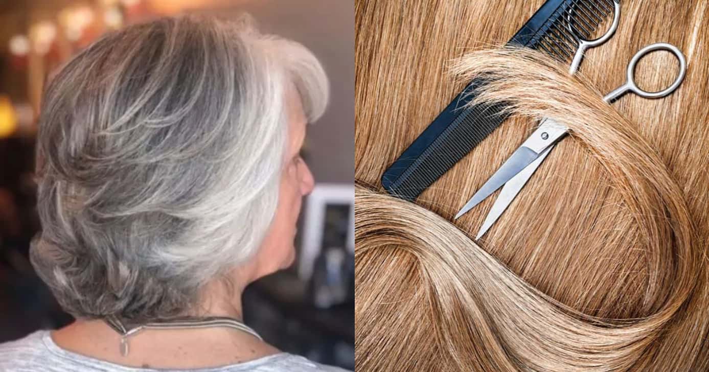 Cortes de cabelo - (Foto: Divulgação)