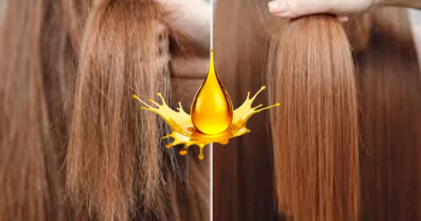3 óleos baratinhos que acabam com o frizz e deixam o cabelo brilhando no inverno (Foto Reprodução/Montagem/TV Foco/Canva/Paola)